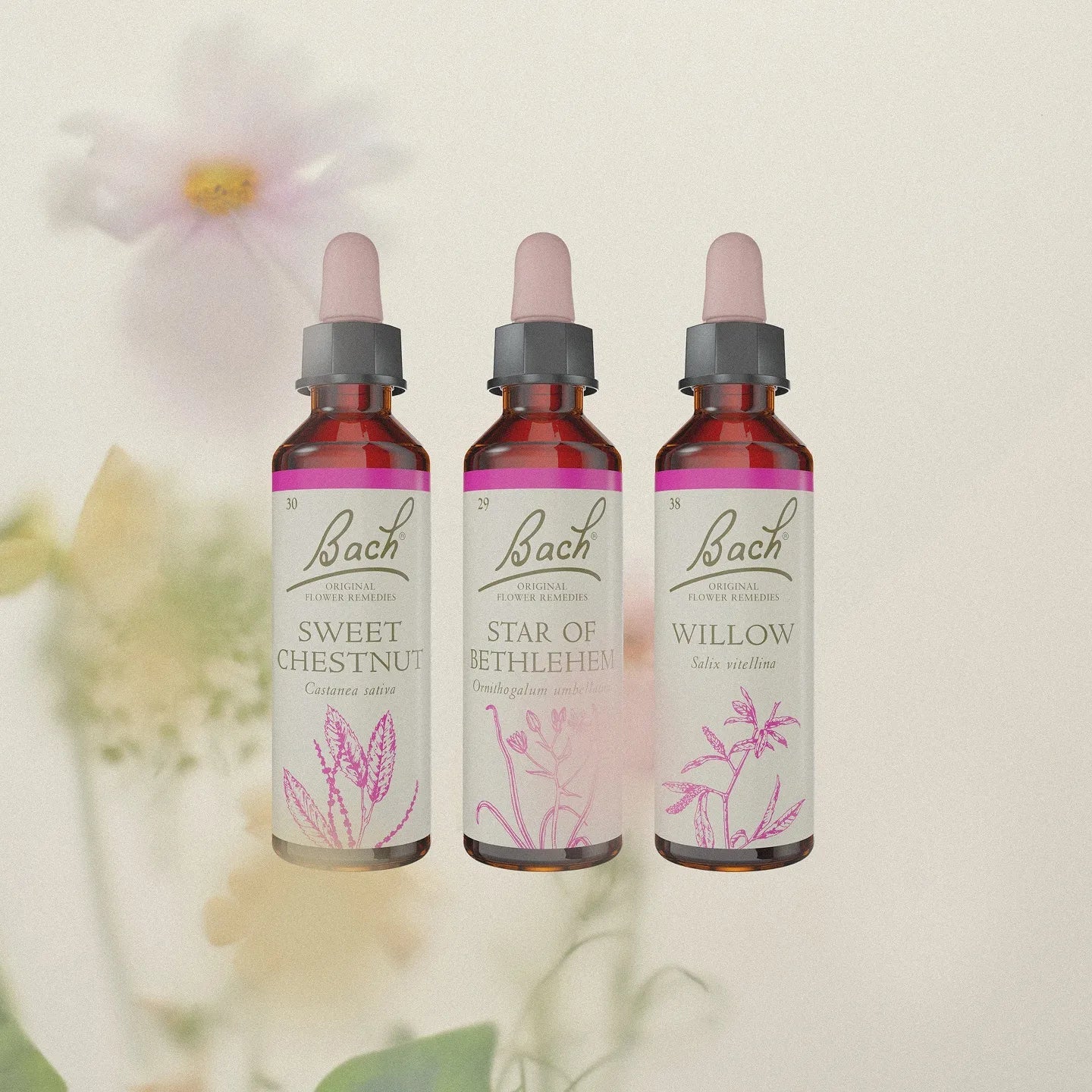 AROMATHERAPY - Natural Remedies - Bach Flower Remedies