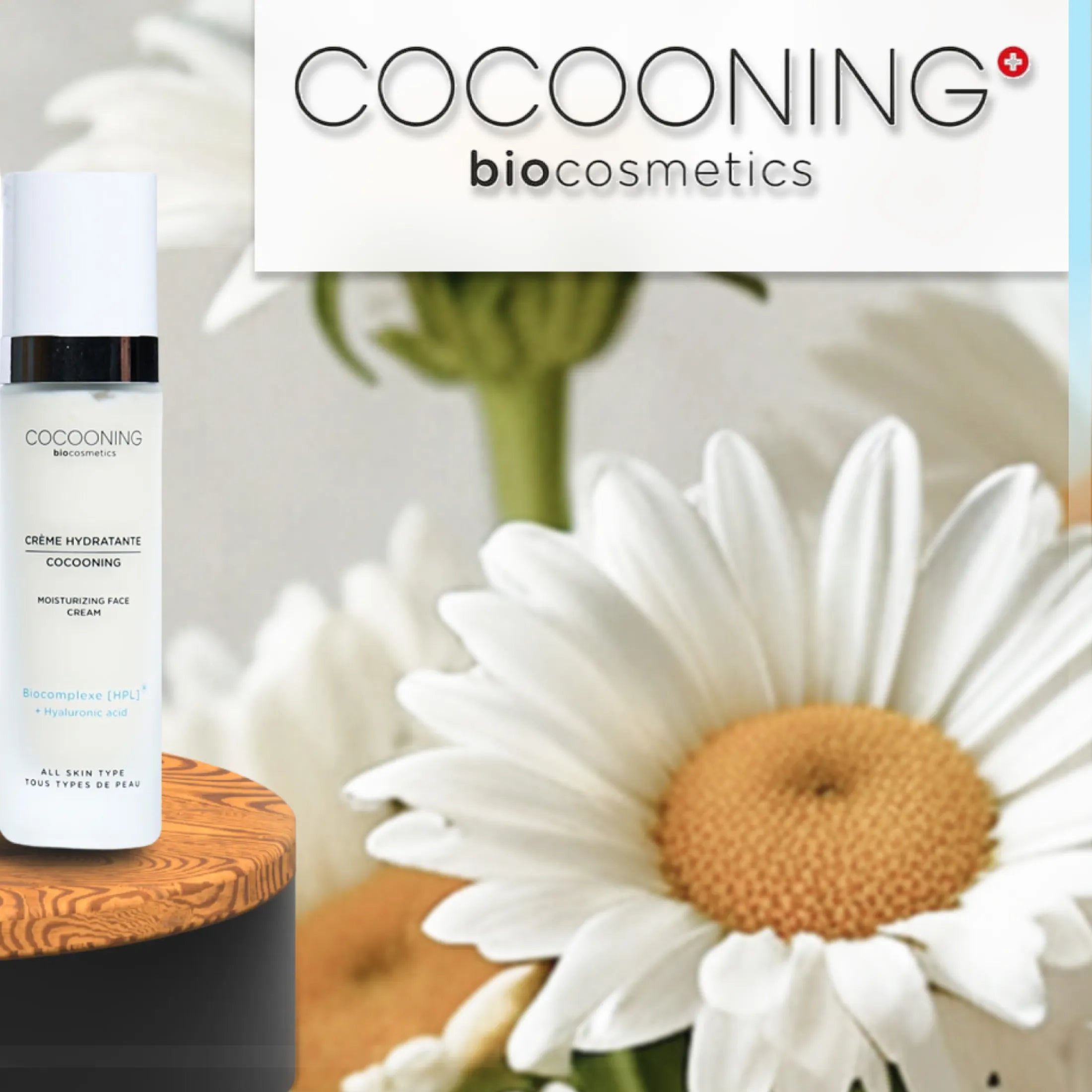 BRANDS - Cocooning