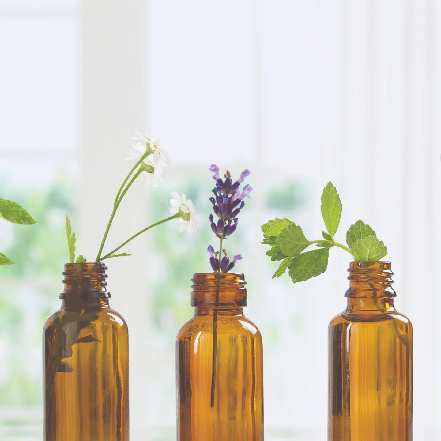 AROMATHERAPY - Oils & Plant extracts - Essential Oil blends
