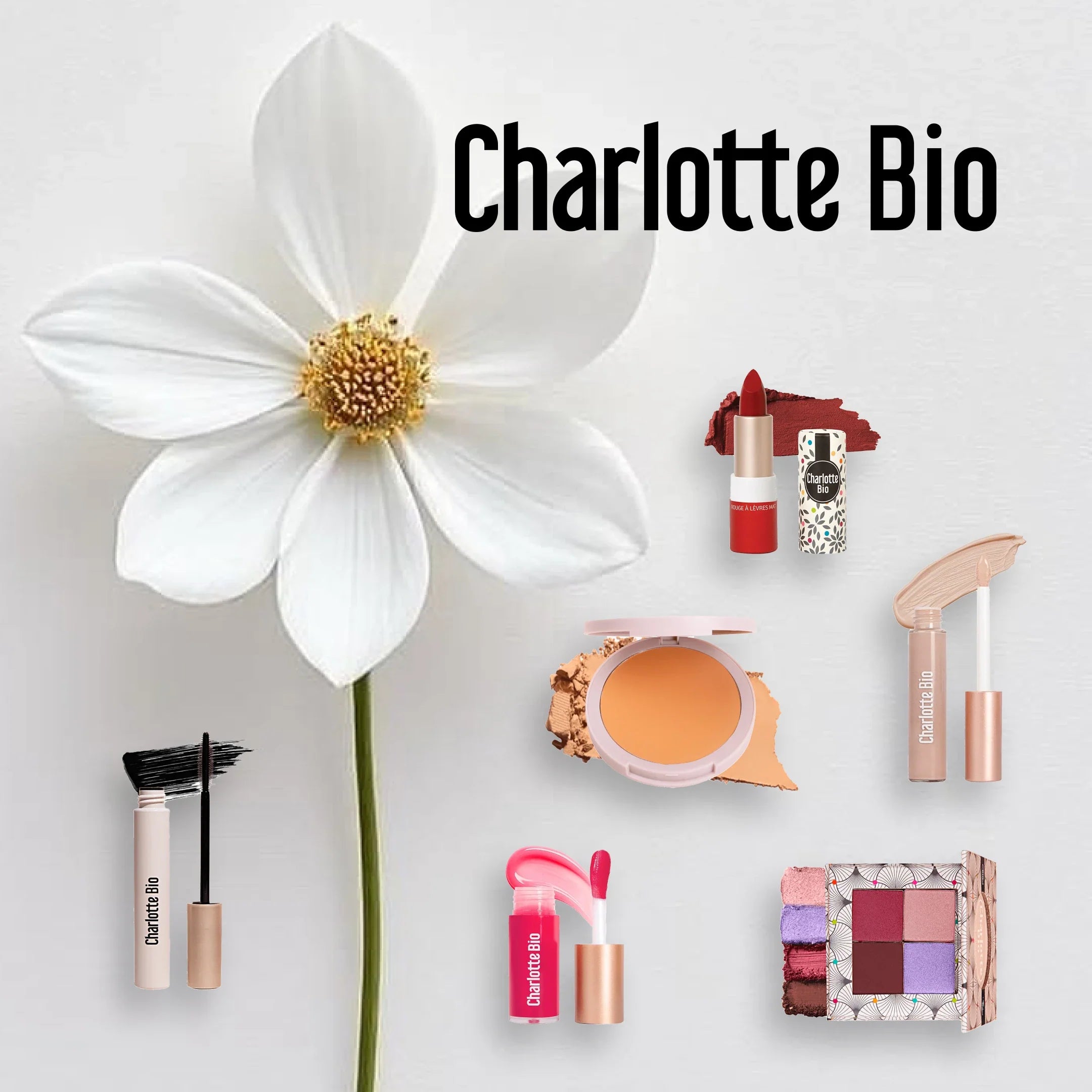 BRANDS - CHARLOTTE BIO