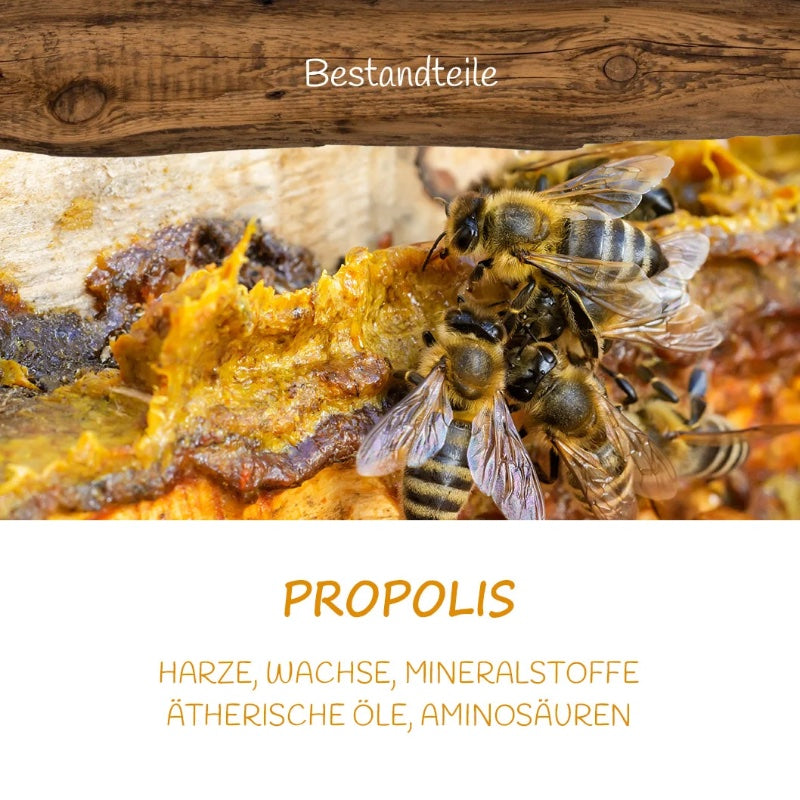 Propolis Herbal Witch