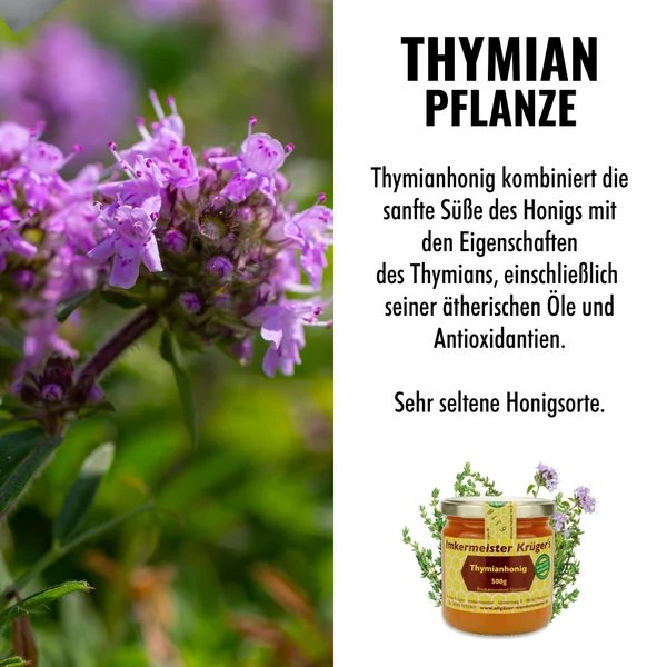 Thyme Honey 500g
