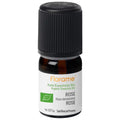 FLORAME - Organic Damask Rose Essential Oil - Pure Elegance for Your Senses 🌹✨