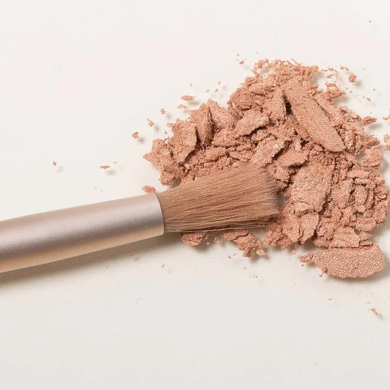 CHARLOTTE BIO - Vegan Eyeshadow Blending Brush - Perfect Your Eye Look! 🌈✨