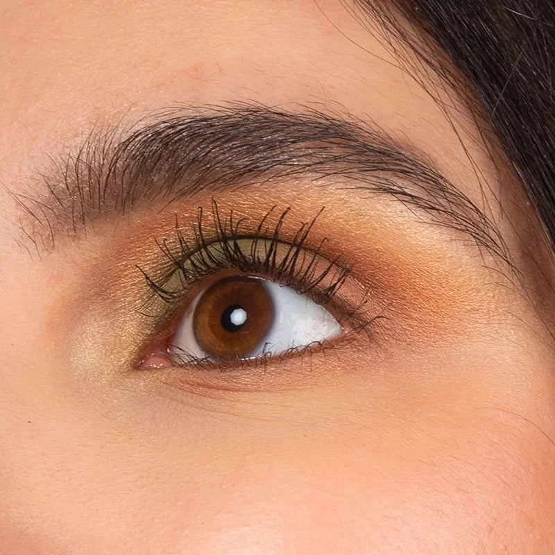 CHARLOTTE BIO - Palette Fards à Paupières Bio Végétal - Couleurs Sublimes pour une Beauté Naturelle 🌿💄