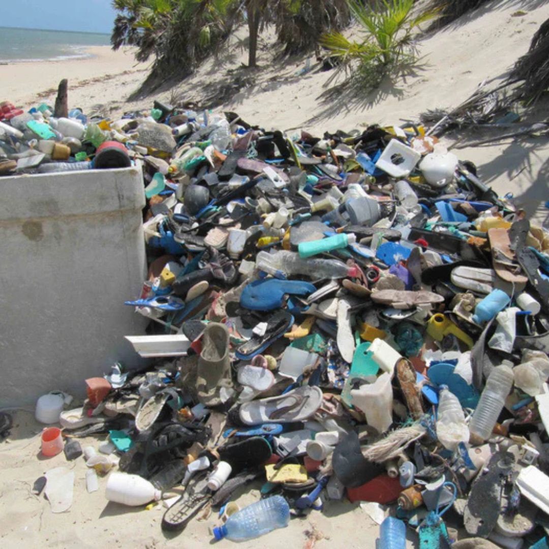 Bloc de yoga recyclé Jungle Petit
