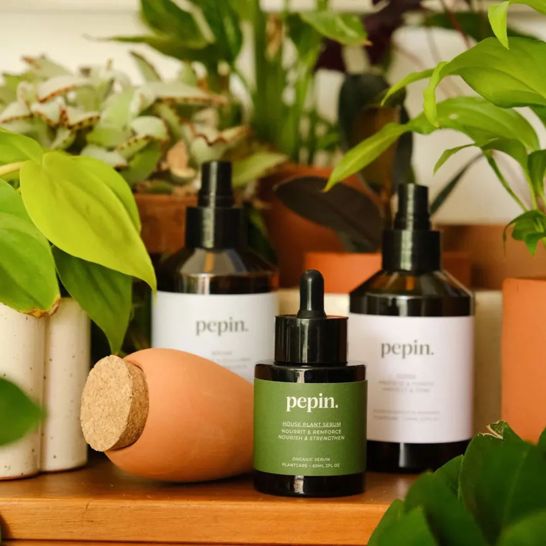 Système d'auto-arrosage et entretien des plantes