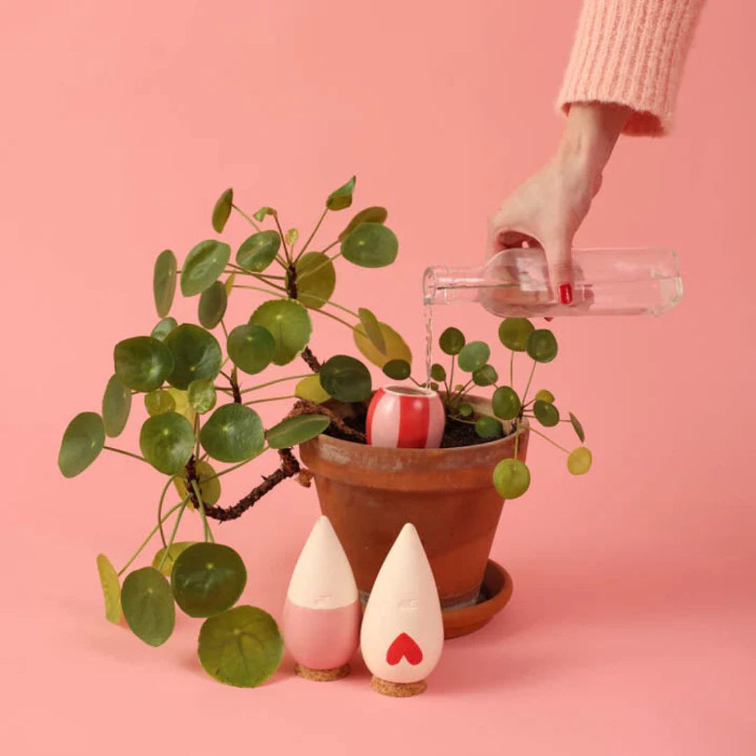 Mini Olla Trio Selbstbewässerungssystem