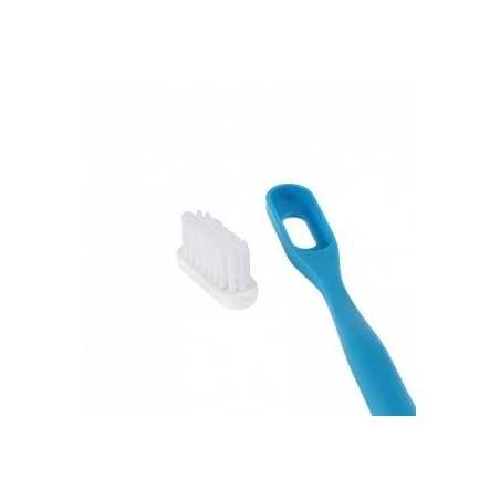 Brosse à dent à tête rechargeable