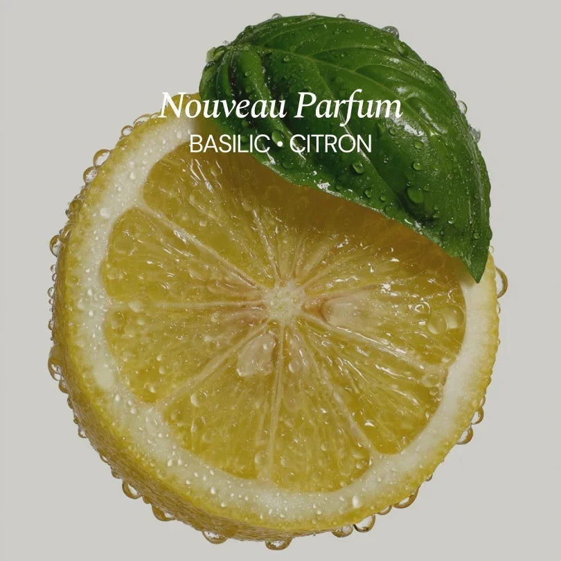 Nettoyant multi-surfaces pour bouteilles en verre – Citron & Basilic, 290 mL