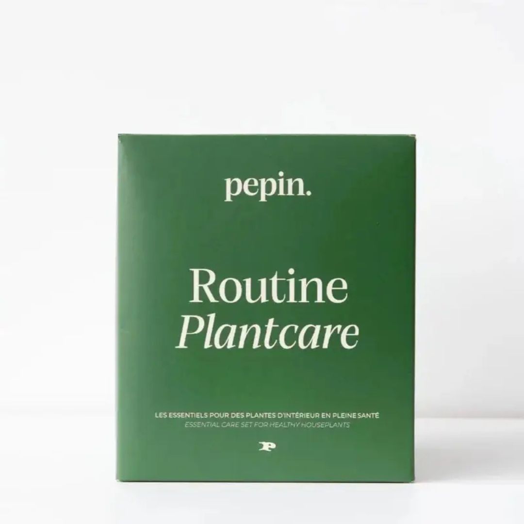 Système d'auto-arrosage et entretien des plantes