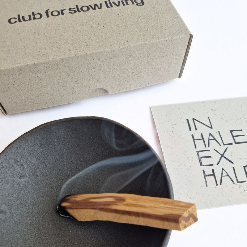 Bâtons de Palo Santo 10 pièces