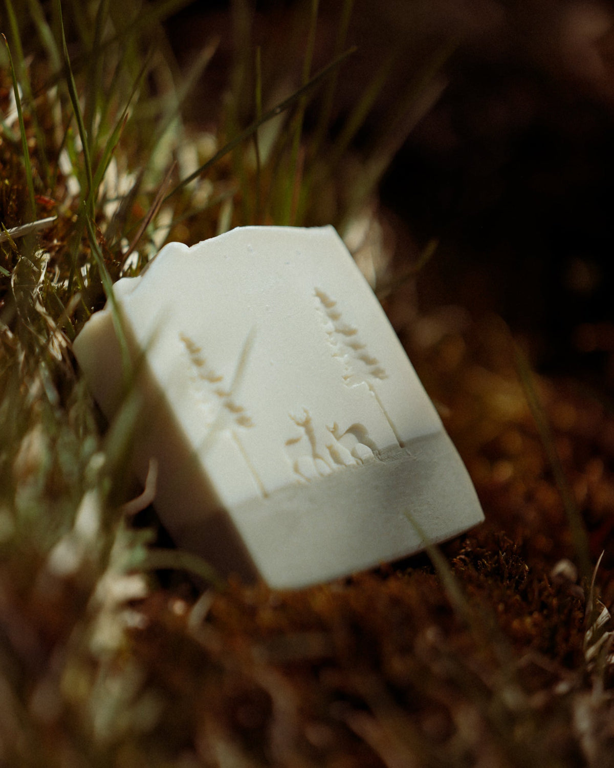 Savon Forêt
