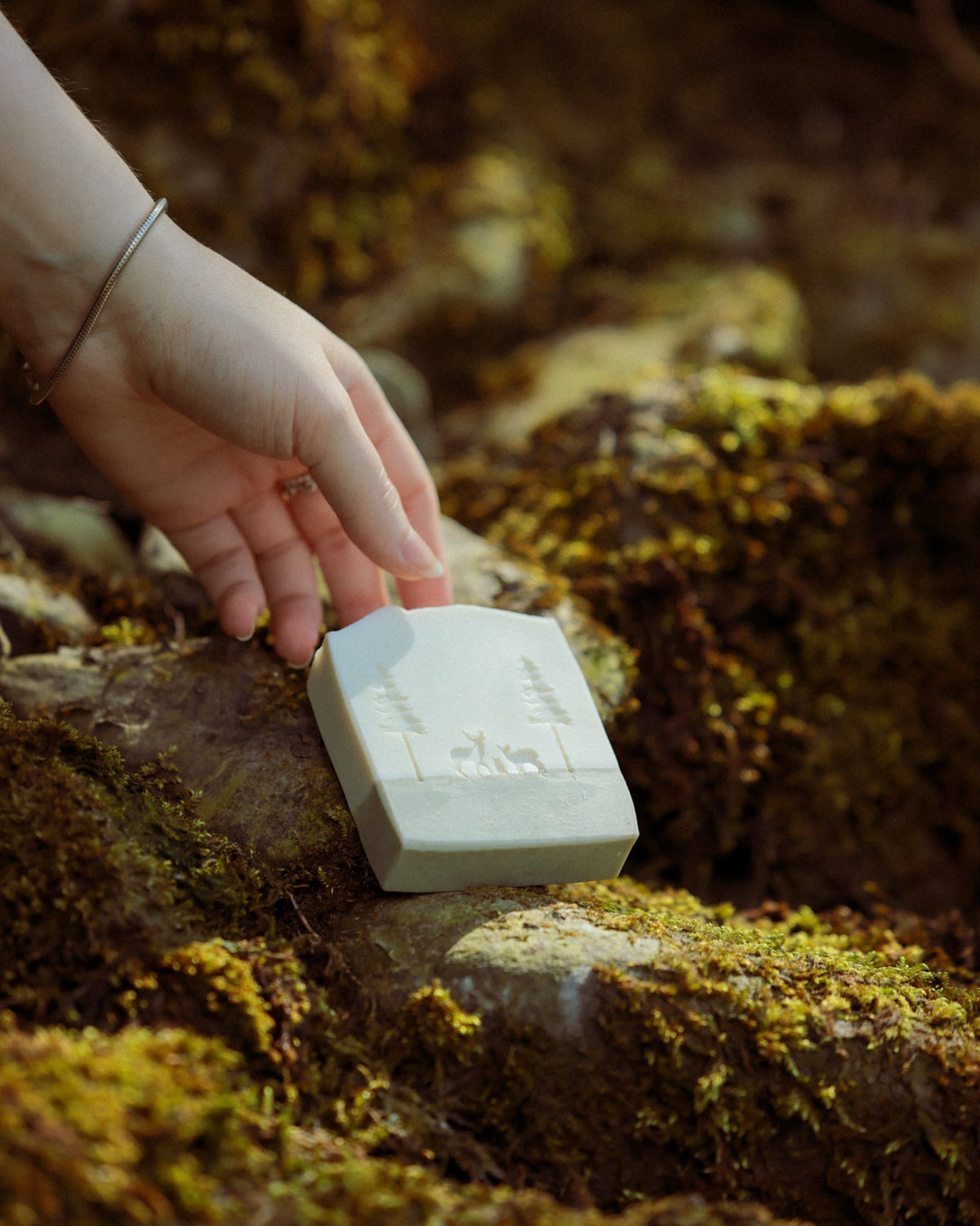 Savon Forêt
