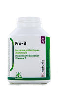 BIONATURIS Pro-B Capsules 4.8 Billion + Vitamin B Capsules 240 Capsules