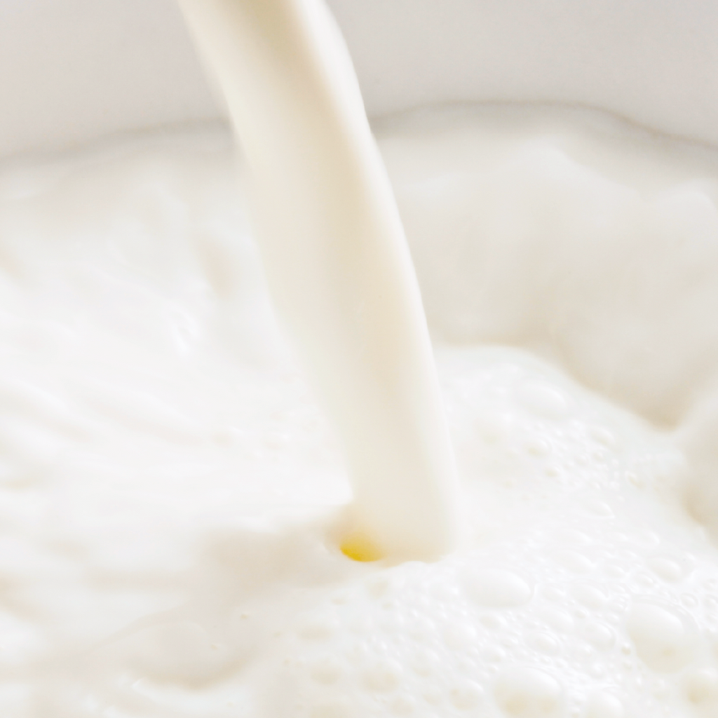 Savon au lait de chèvre Géranium
