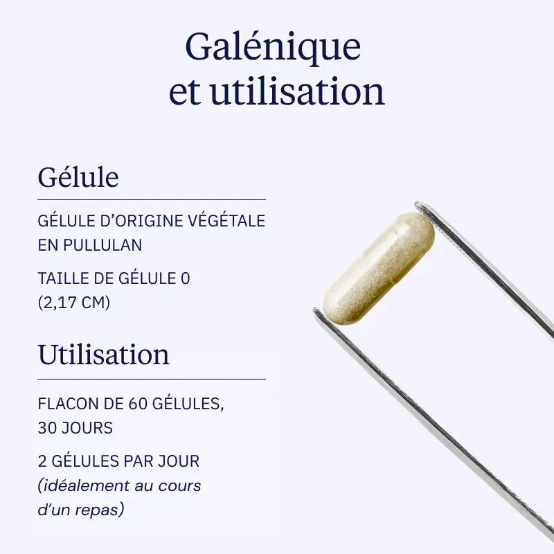 Artichaut 5% Cynarine