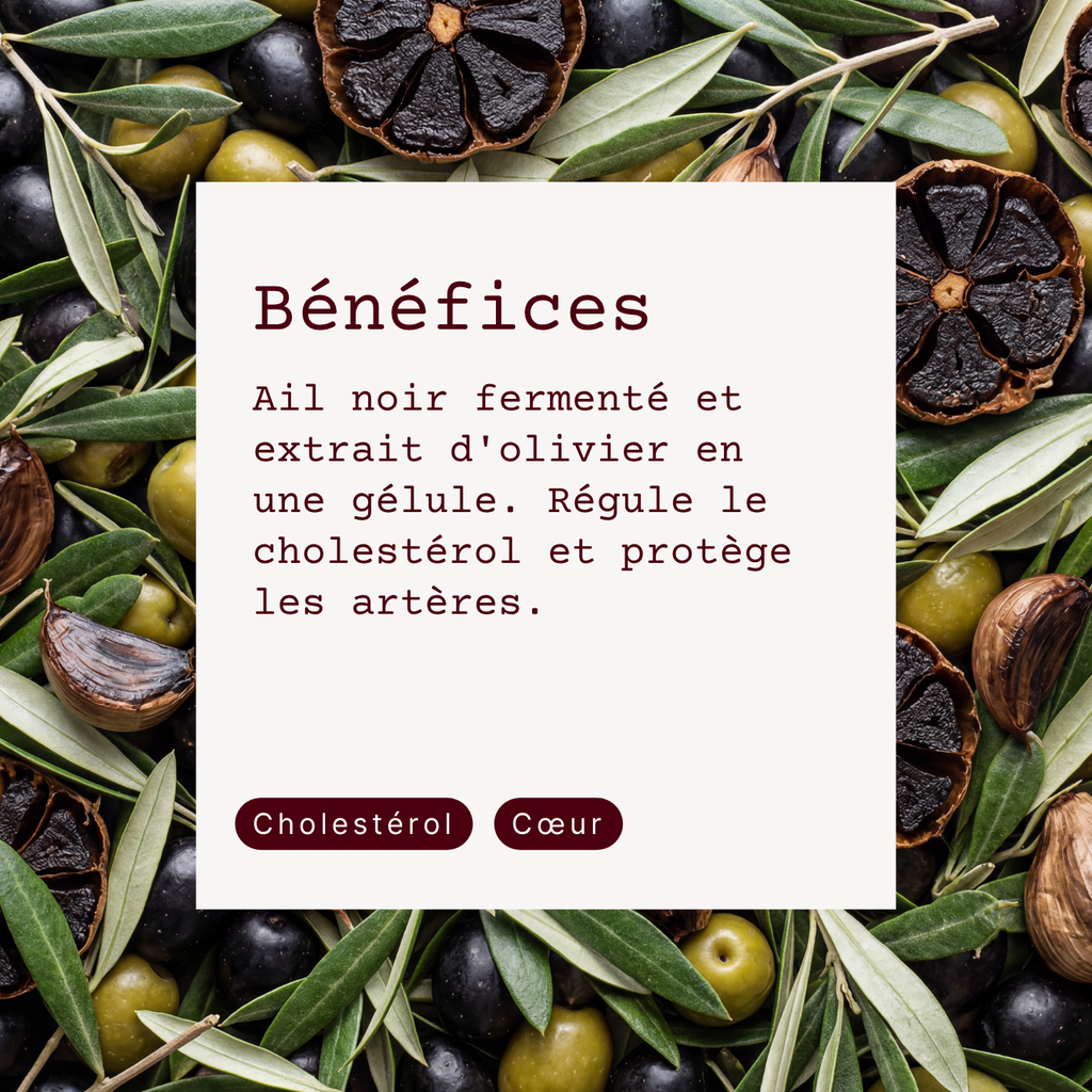 Cœur et artères