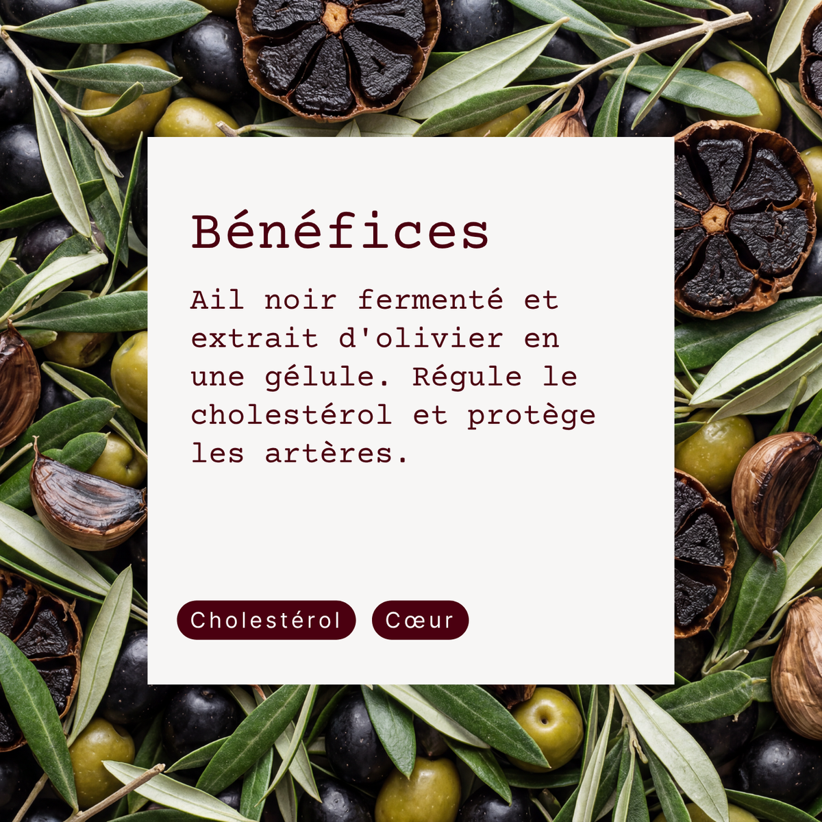 Cœur et artères