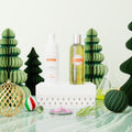 Cleansing Foam and Relaxing Shower Oil Gift Set INALP