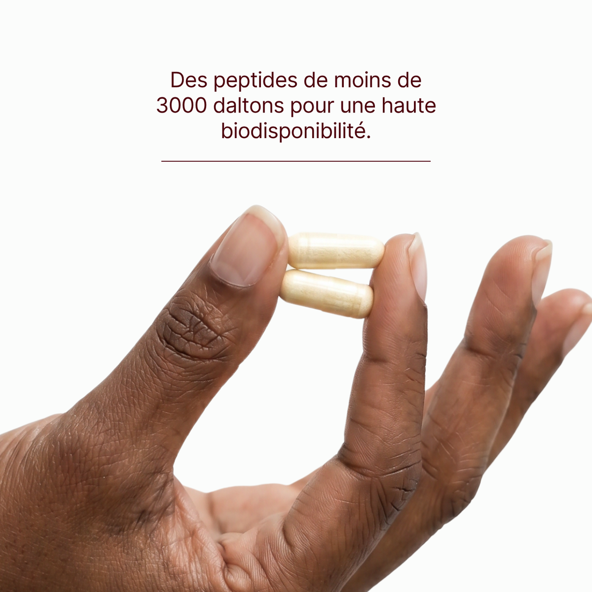 Collagène Plus