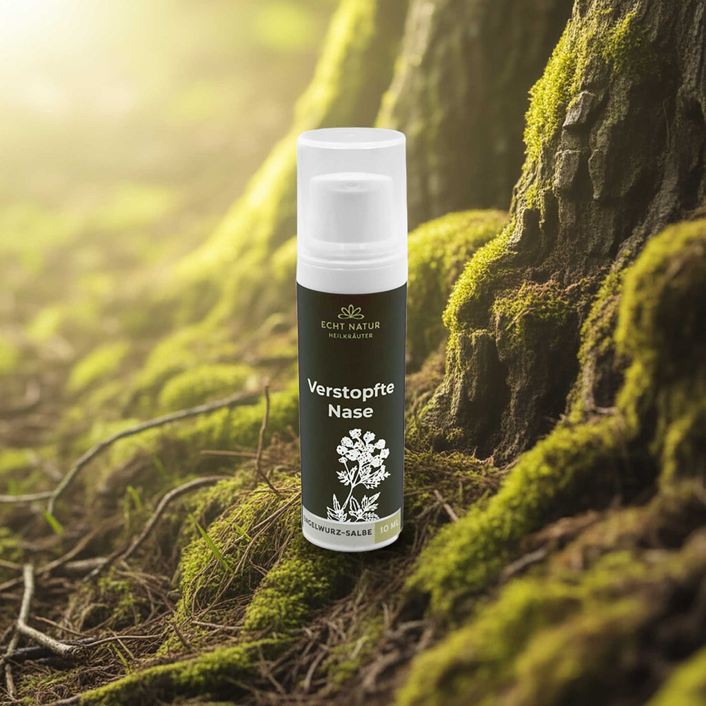ECHT NATUR Pommade à l'angélique – Soin aux herbes naturelles