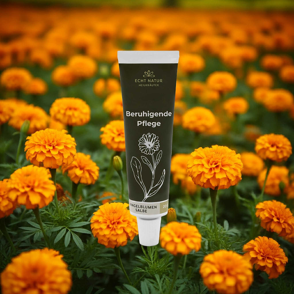 ECHT NATUR Pommade au calendula – soin naturel pour peaux sensibles