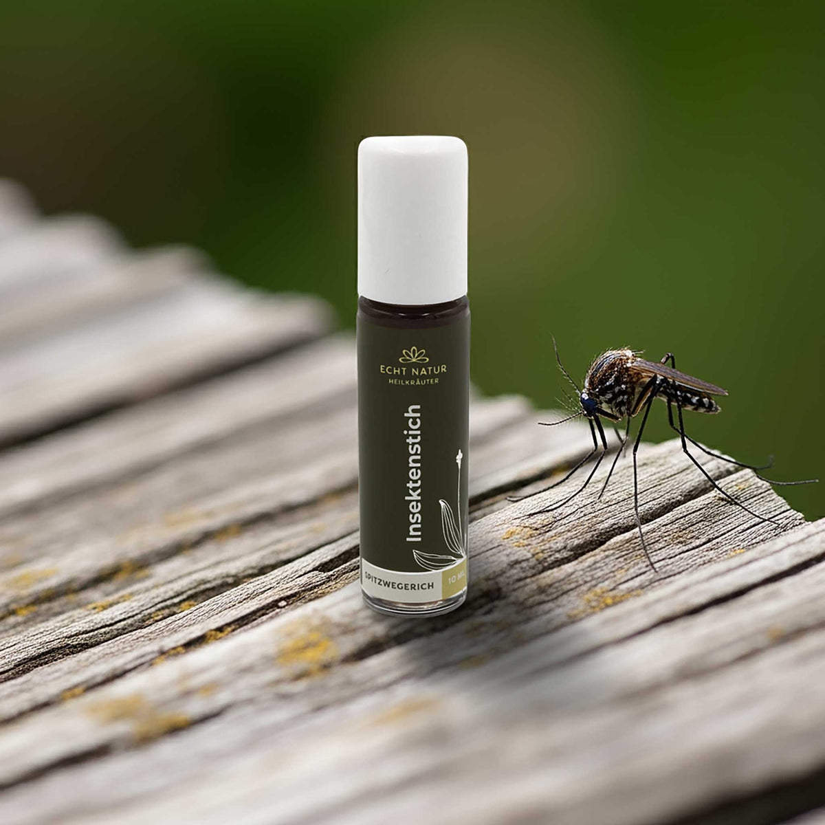 ECHT NATUR Roll-on Plantain lancéolé – soin naturel après les piqûres d'insectes
