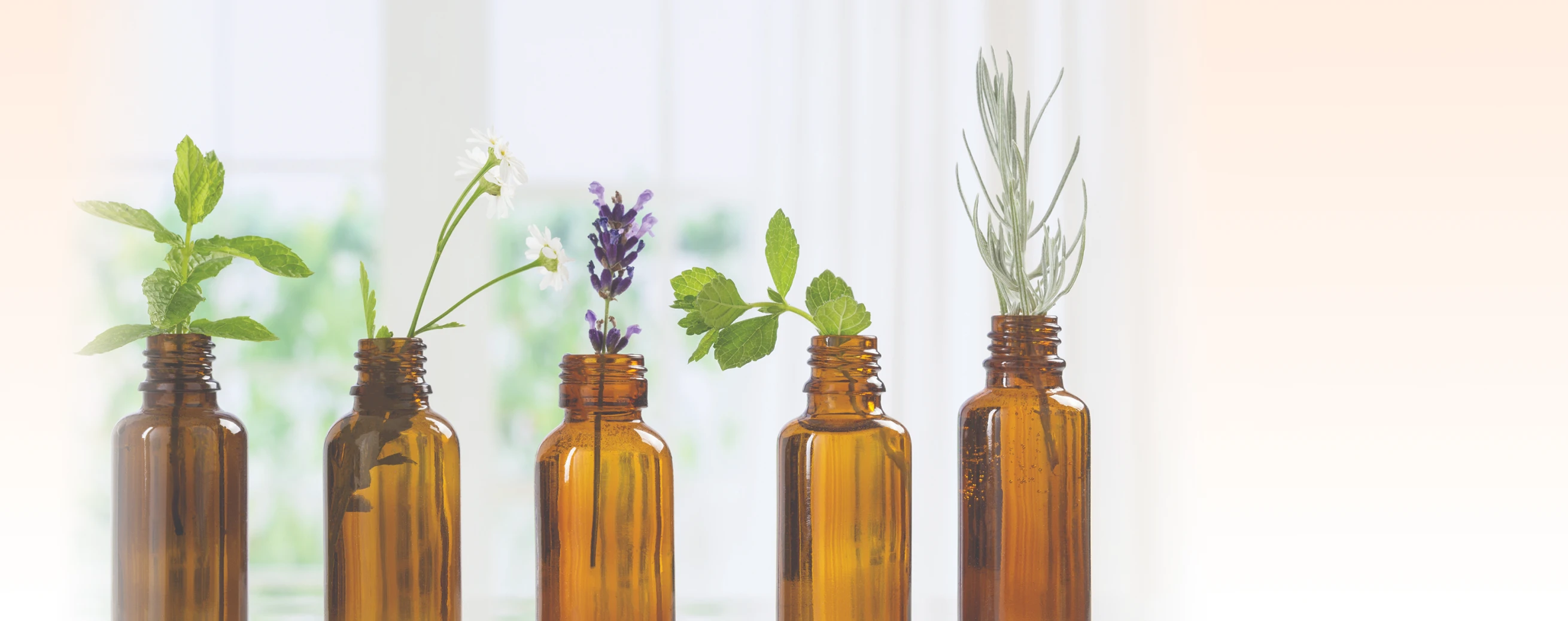 Five brown glass bottles with herbs on a blurred background