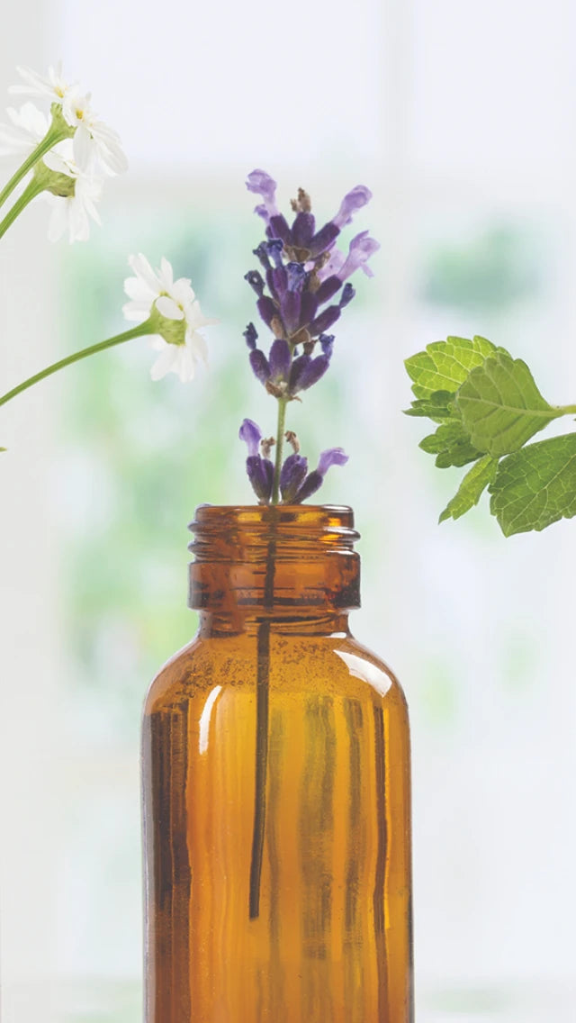 Brown glass bottle with lavender flowers and green leaves on a blurred natural background