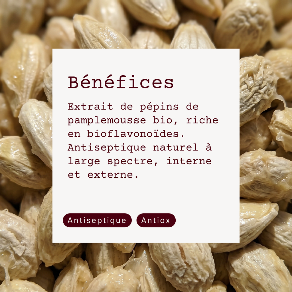 Extrait de Pépins de Pamplemousse