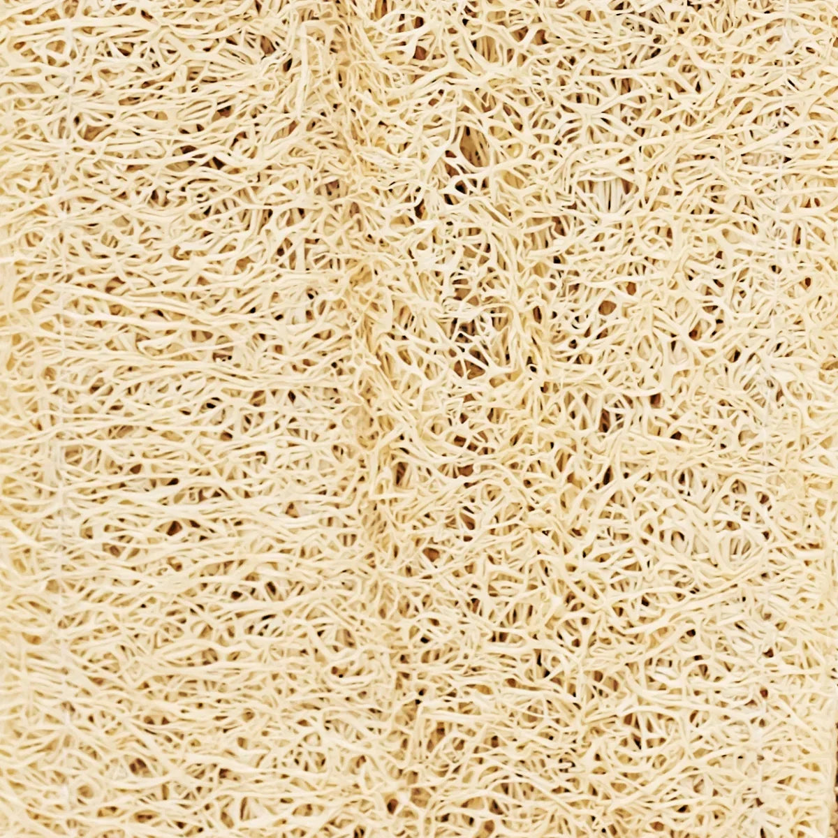 Gant Luffa