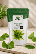 Ginkgo Biloba