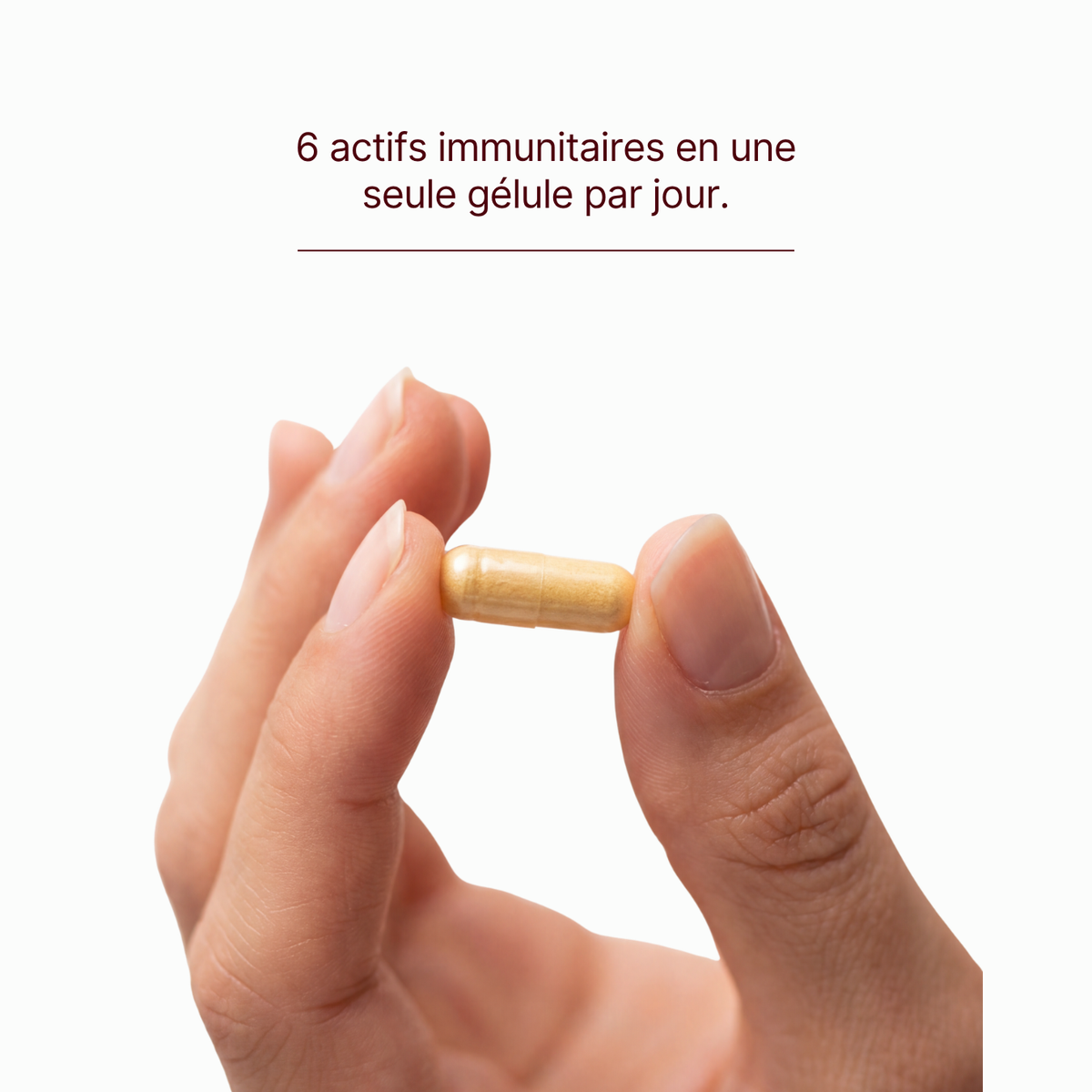 Immuno Support