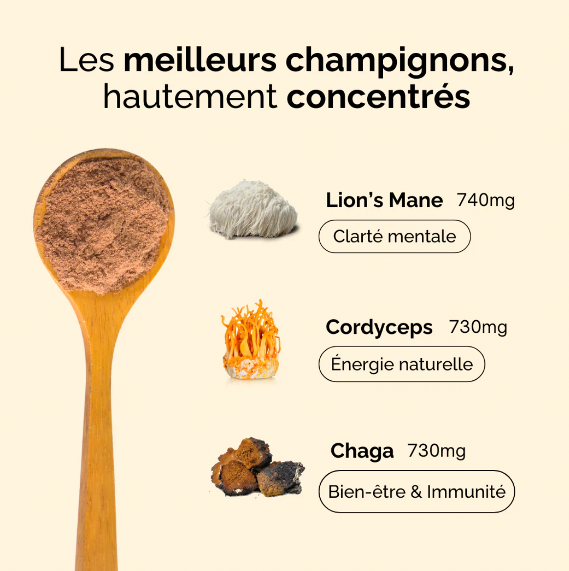 Bonjour Cacao Flavor – Rich Mushroom Cacao Drink (Caffeine-Free)