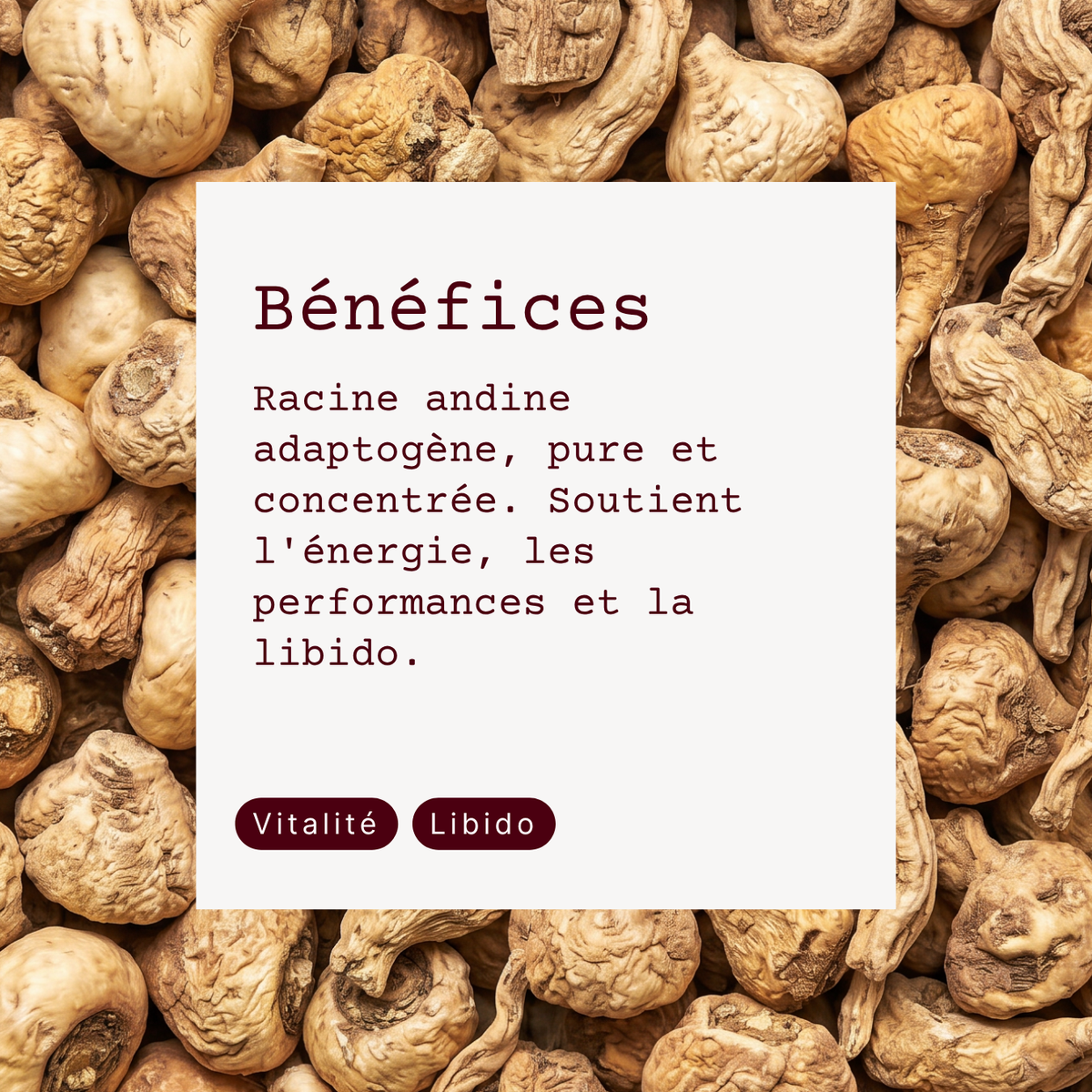Maca Bio