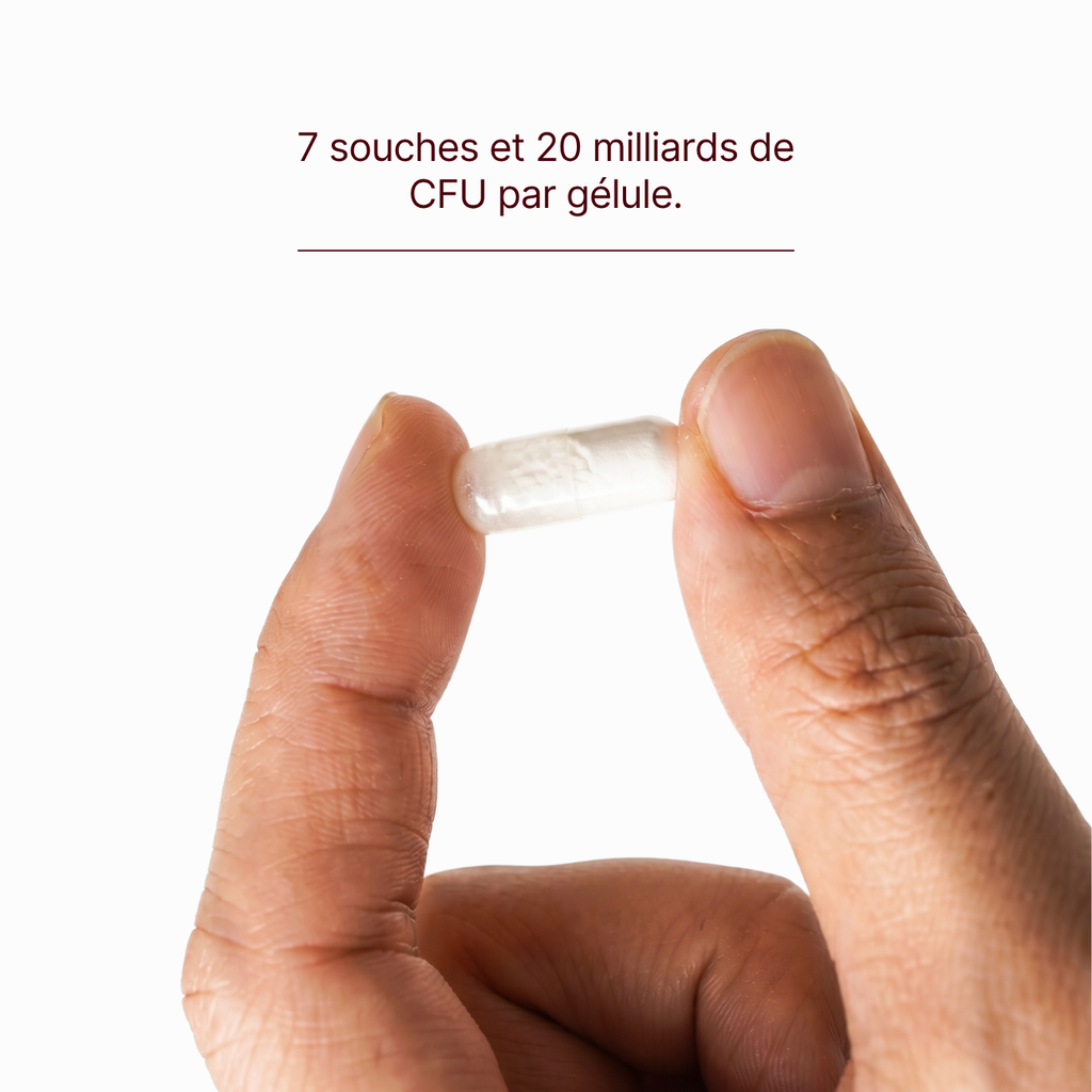 Probiline Forte