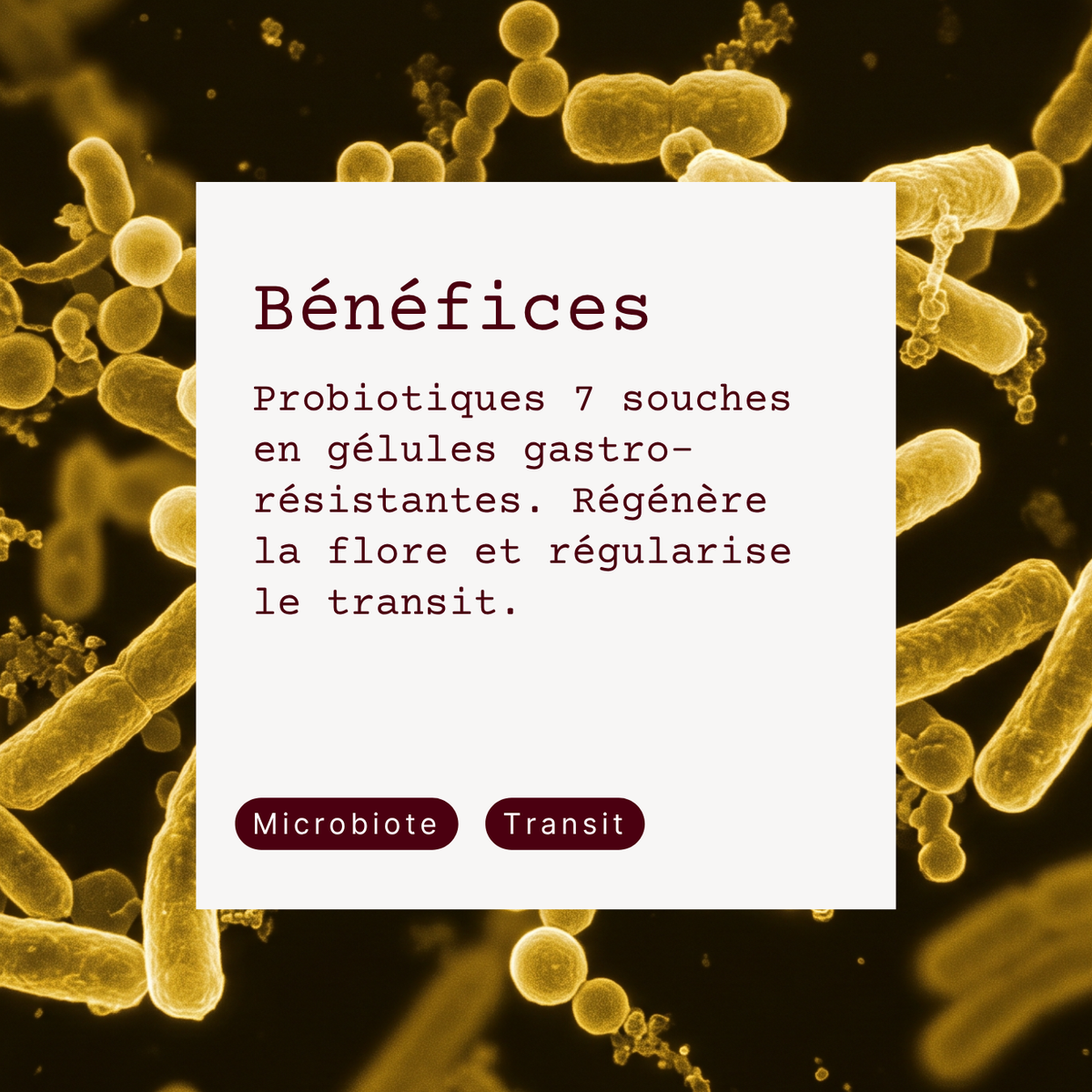 Probiline Forte
