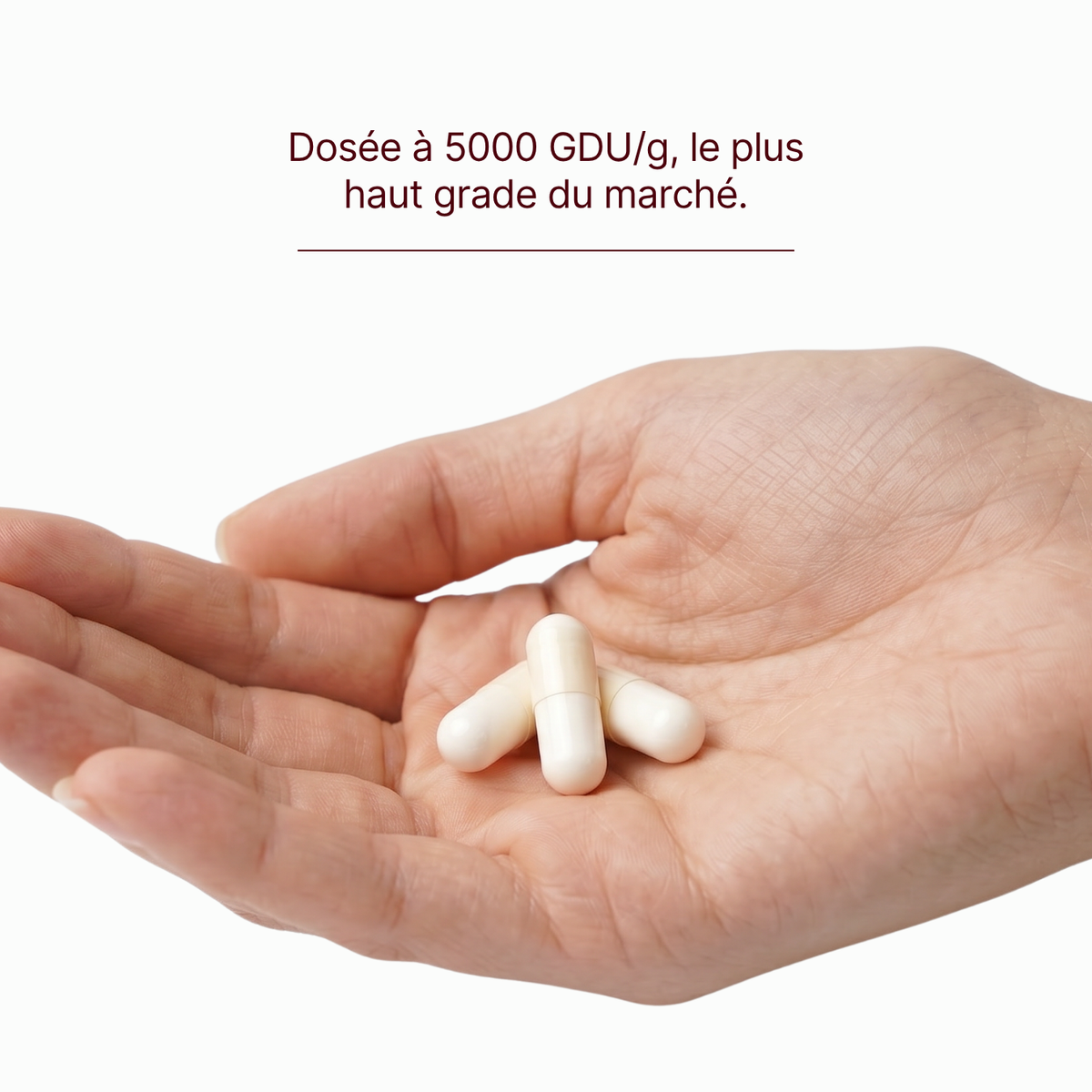 Bromélaïne Pure