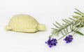 SAVON DU MIDI Soap Turtle