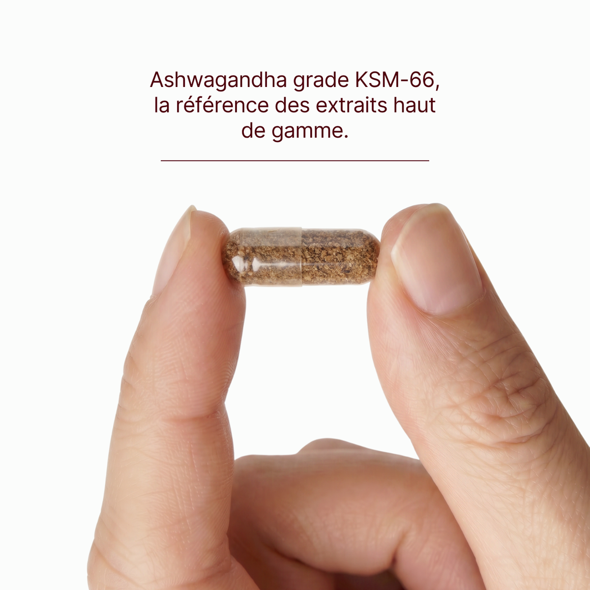 Safran et Ashwagandha B6, B3