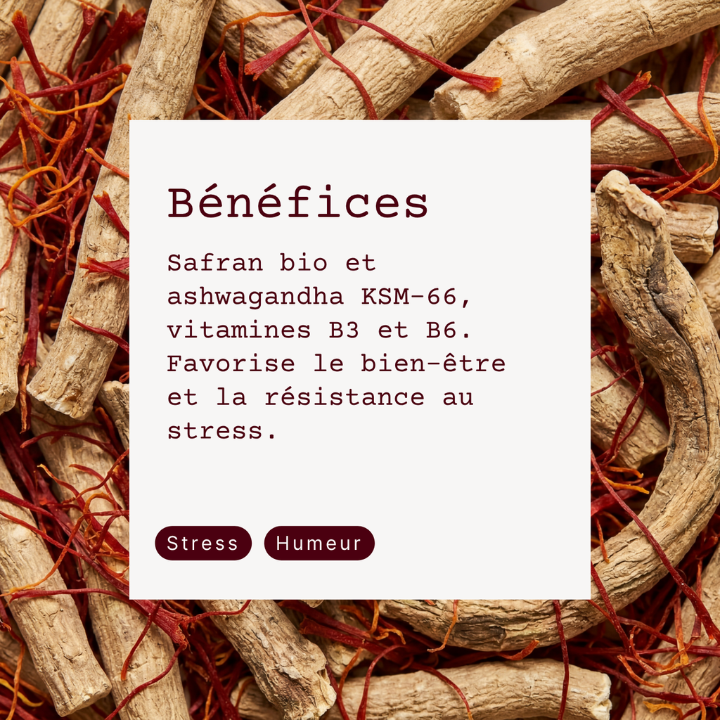 Safran et Ashwagandha B6, B3
