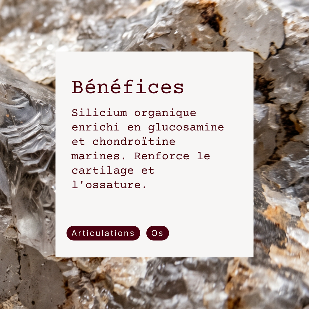 Silicium Organique - Sili-G5 Plus