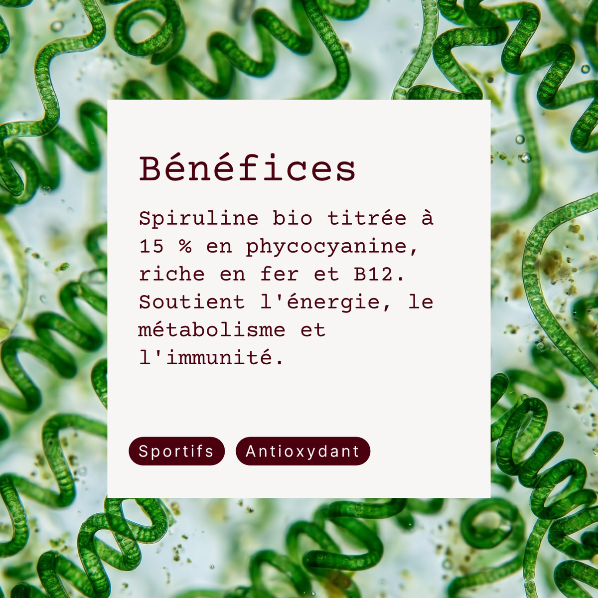Spiruline BIO (+ Fer et B12)