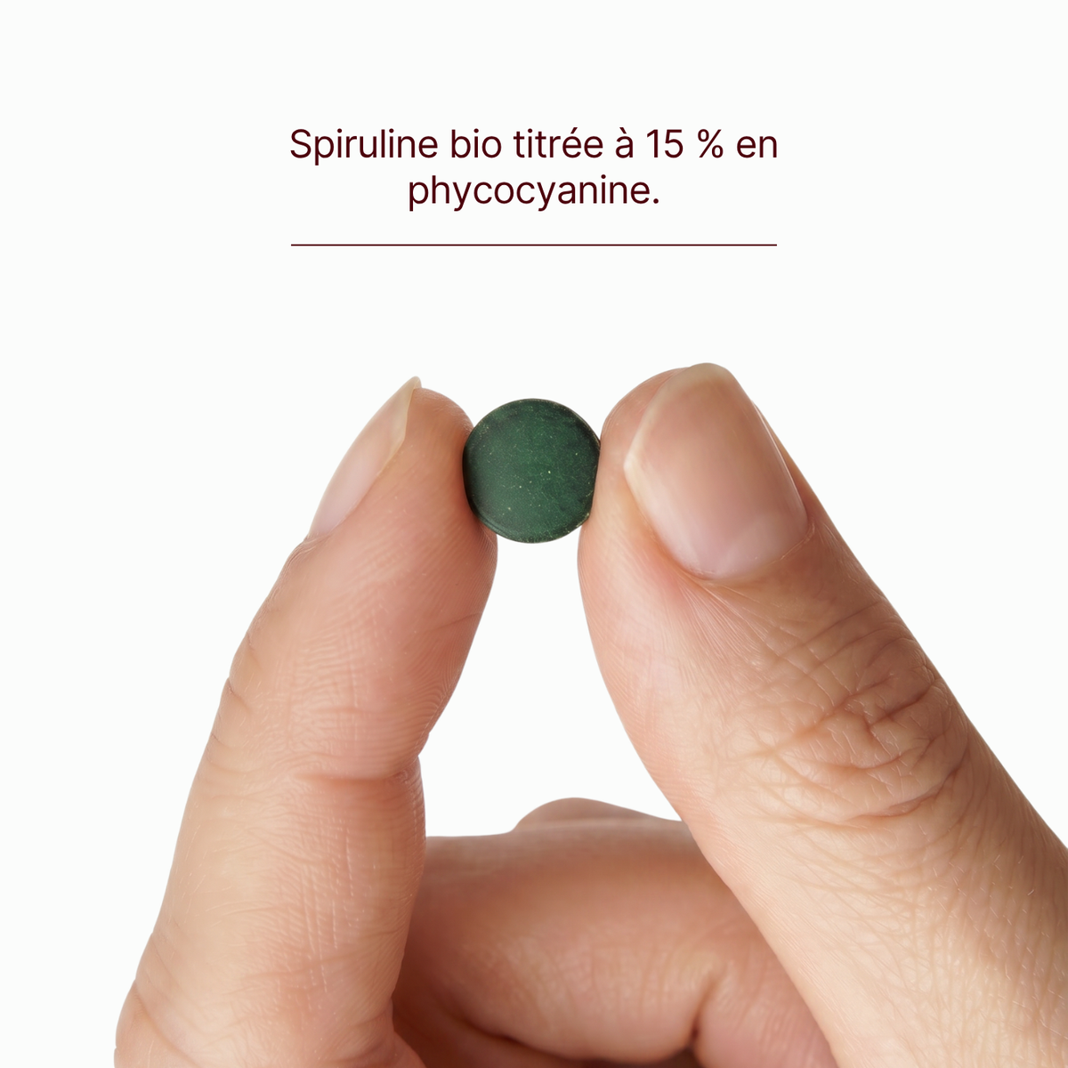 Spiruline BIO (+ Fer et B12)