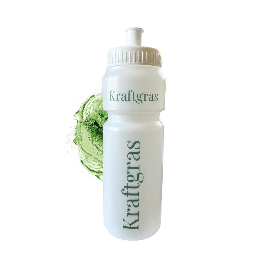 Gourde ECO 750 ml