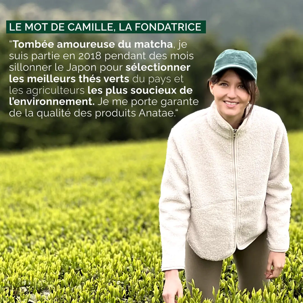 Thé Matcha Premium BIO