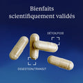 Artichaut 5% Cynarine