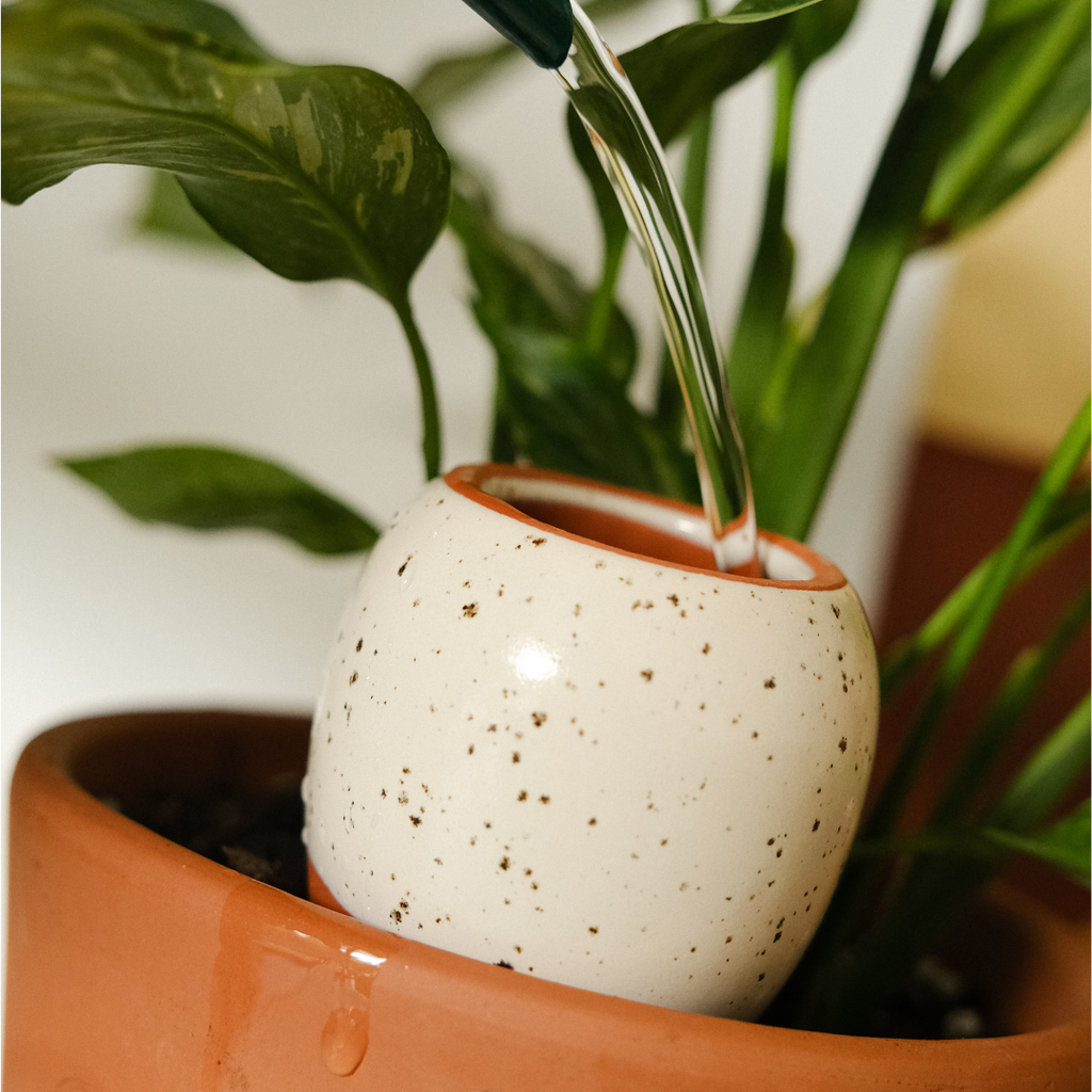 Mini Olla Trio Système d'arrosage automatique