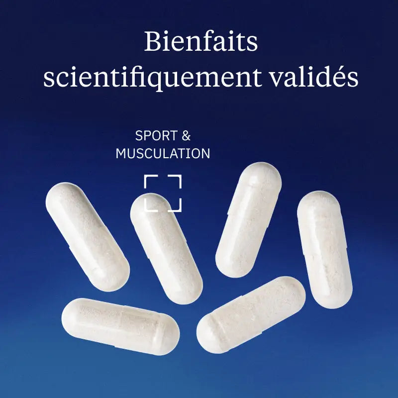 Créatine Monohydrate Creapure®